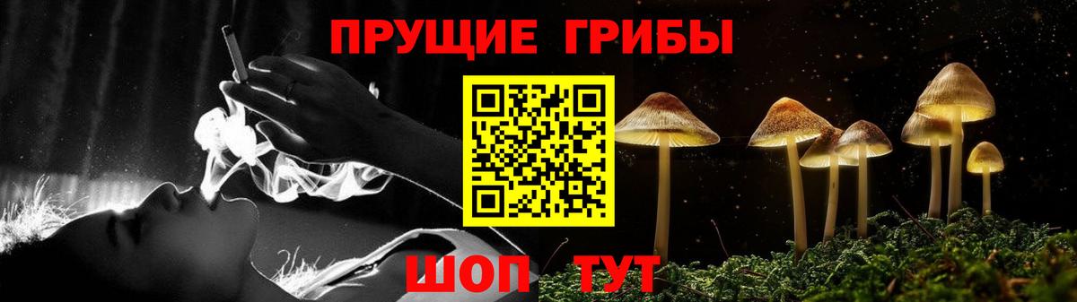 Прокопьевск  купить  сайты  Вход с VPN  Псилоцибиновые грибы прущие грибы 